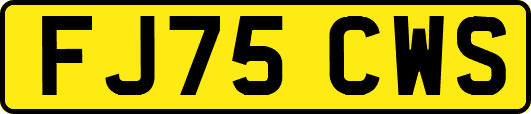 FJ75CWS