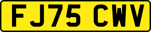 FJ75CWV