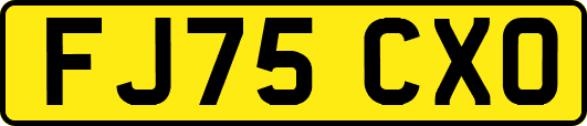 FJ75CXO