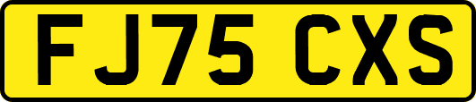 FJ75CXS