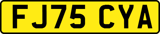 FJ75CYA