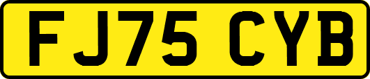 FJ75CYB