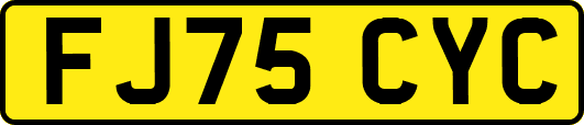 FJ75CYC