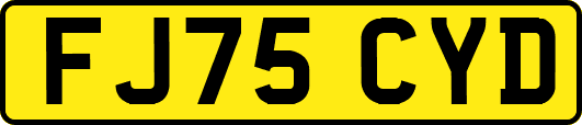 FJ75CYD