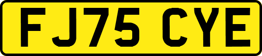 FJ75CYE