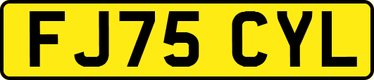 FJ75CYL