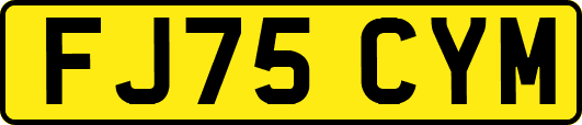 FJ75CYM