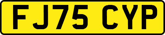 FJ75CYP