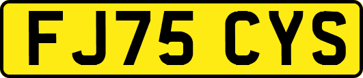 FJ75CYS