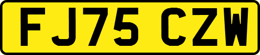 FJ75CZW