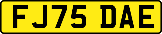 FJ75DAE