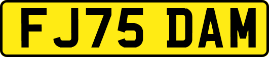 FJ75DAM