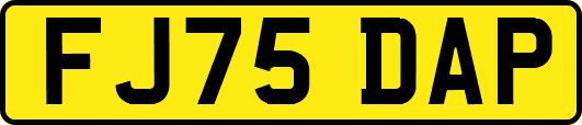 FJ75DAP