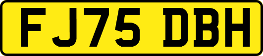 FJ75DBH