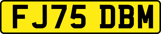 FJ75DBM