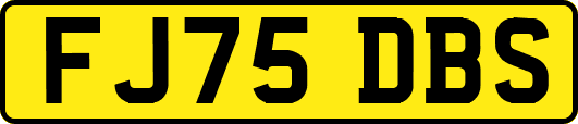 FJ75DBS