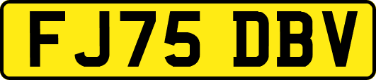 FJ75DBV