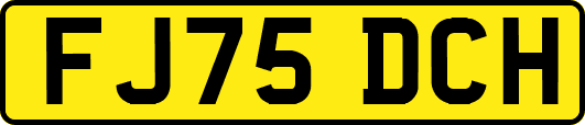FJ75DCH