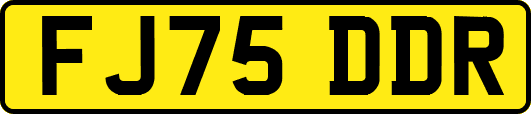 FJ75DDR