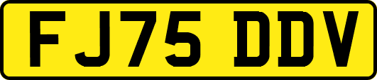 FJ75DDV