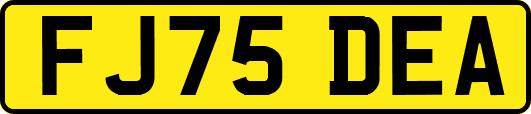 FJ75DEA