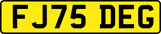 FJ75DEG