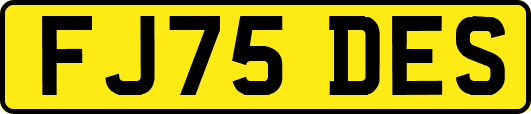 FJ75DES