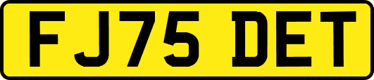 FJ75DET