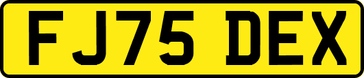 FJ75DEX