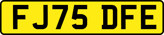 FJ75DFE