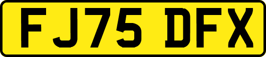 FJ75DFX