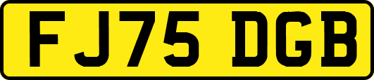 FJ75DGB