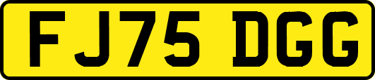 FJ75DGG