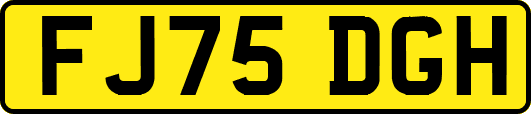 FJ75DGH
