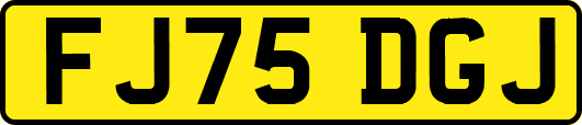 FJ75DGJ