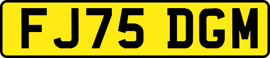 FJ75DGM