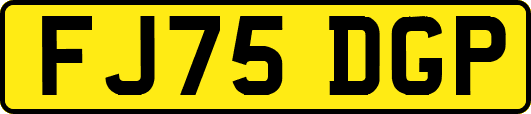 FJ75DGP