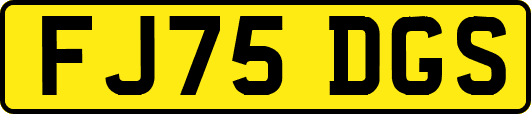FJ75DGS