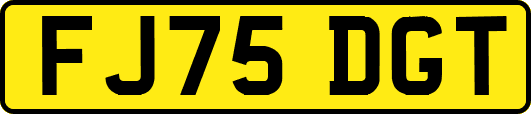 FJ75DGT