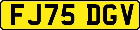 FJ75DGV