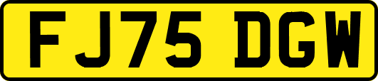 FJ75DGW
