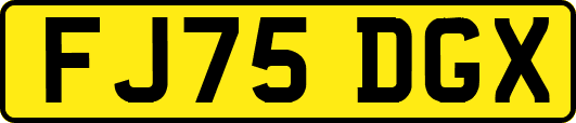 FJ75DGX