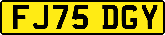 FJ75DGY