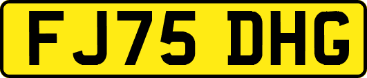 FJ75DHG