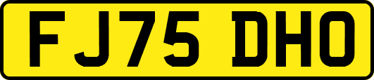 FJ75DHO