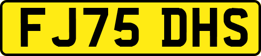 FJ75DHS