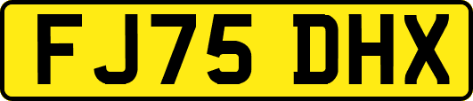 FJ75DHX