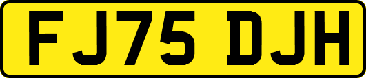 FJ75DJH