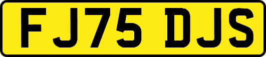 FJ75DJS