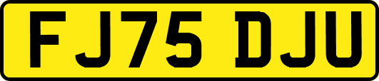 FJ75DJU